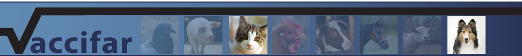 header-gezelschapsdieren